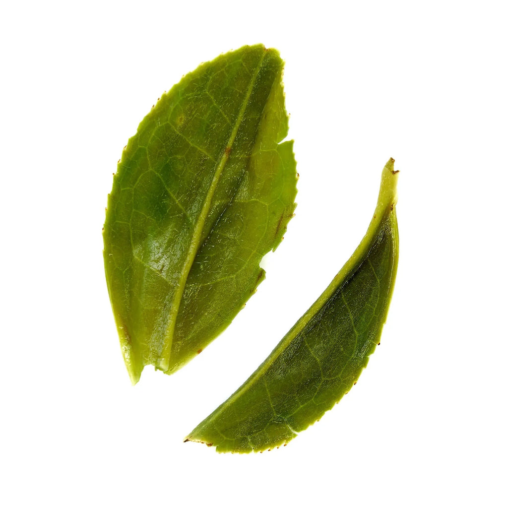 Pi Lo Chun Green Tea-Single Estate Loose Leaf Chinese Green Tea